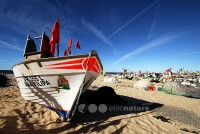 /album/monte-gordo/dsc-3429-copy-jpg/